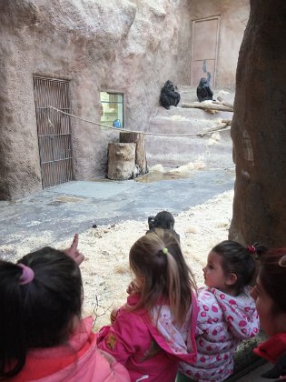 zoo1 (22)